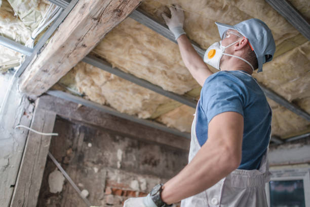 Best Insulation Installation Services in Nashotah, WI