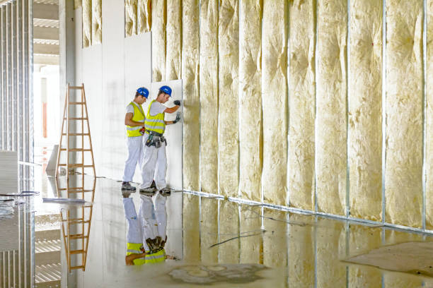 Best Insulation Maintenance and Repair in Nashotah, WI